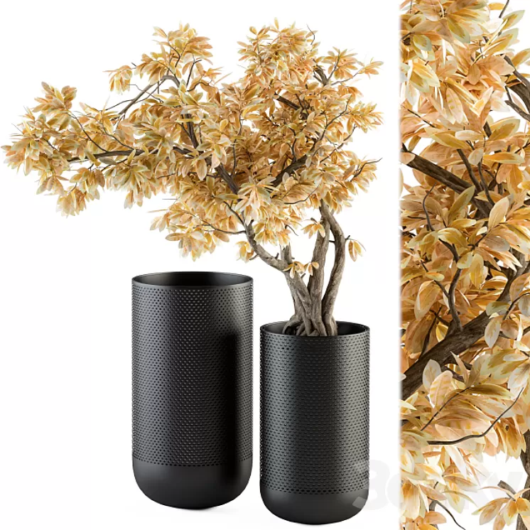 Bouquet Set – Autumn Branch in Black Vase 78 3D Model Free Download
