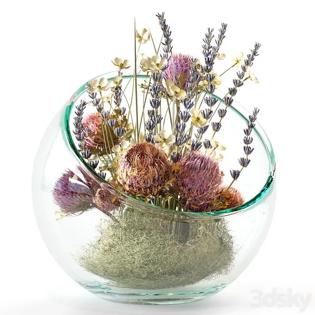 Bouquet with dry protea lavender and white flowers 3D Model Bouquet with dry protea lavender and white flowers 3D Model