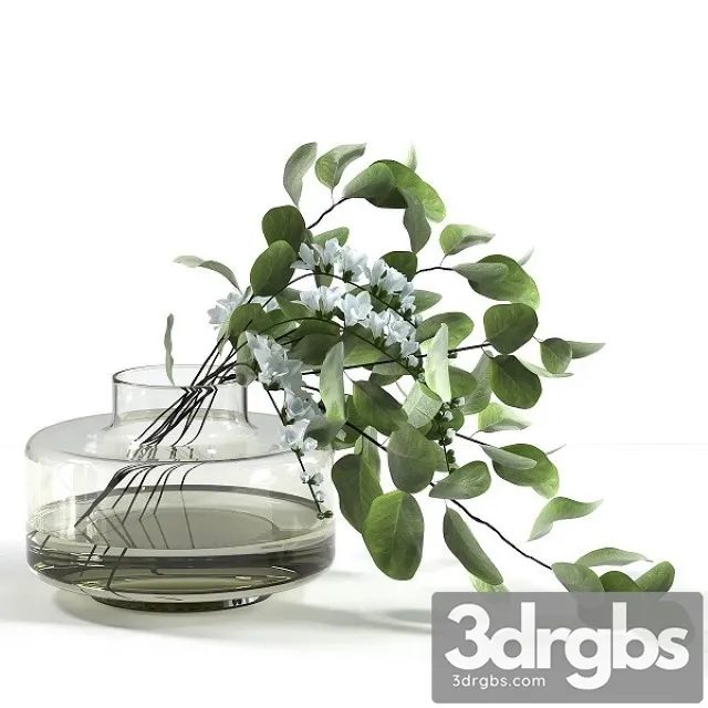 Bouquet With Freesias and Eucalyptus 3D Model Download Bouquet With Freesias and Eucalyptus 3D Model Download