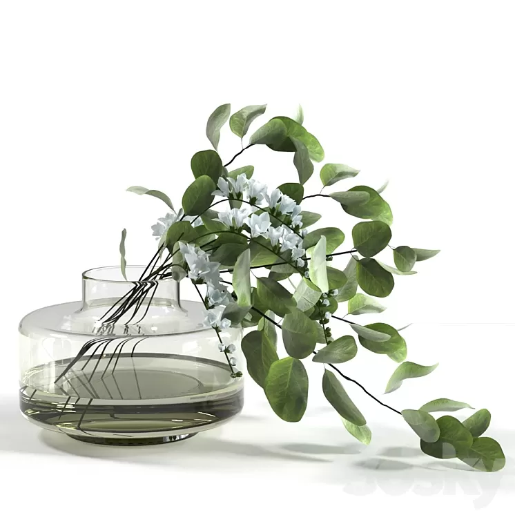 Bouquet with freesias and eucalyptus 3D Model Free Download