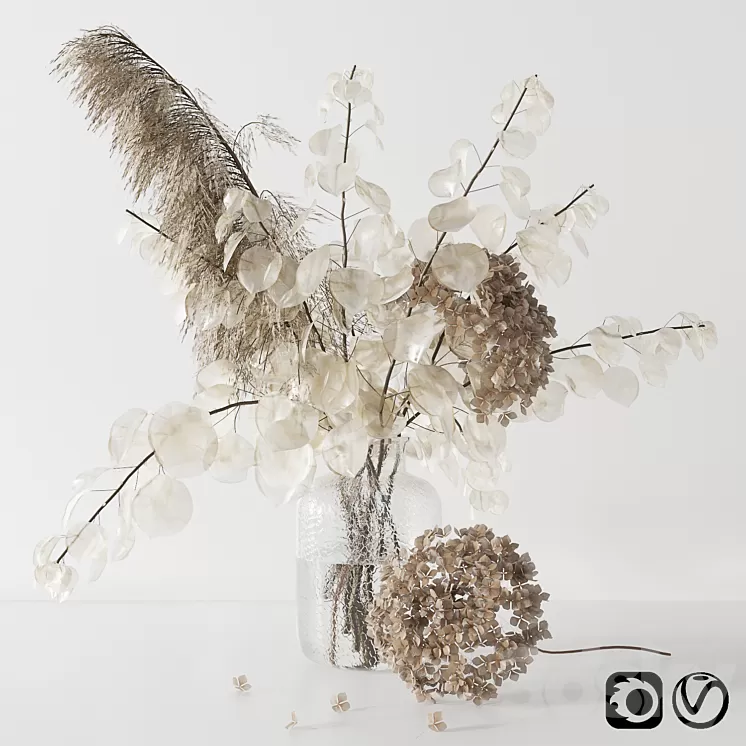 Bouquet with lunaria pampas grass and hydragea 3D Model