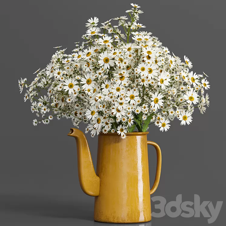 bouquet01-chamomile 3D Model