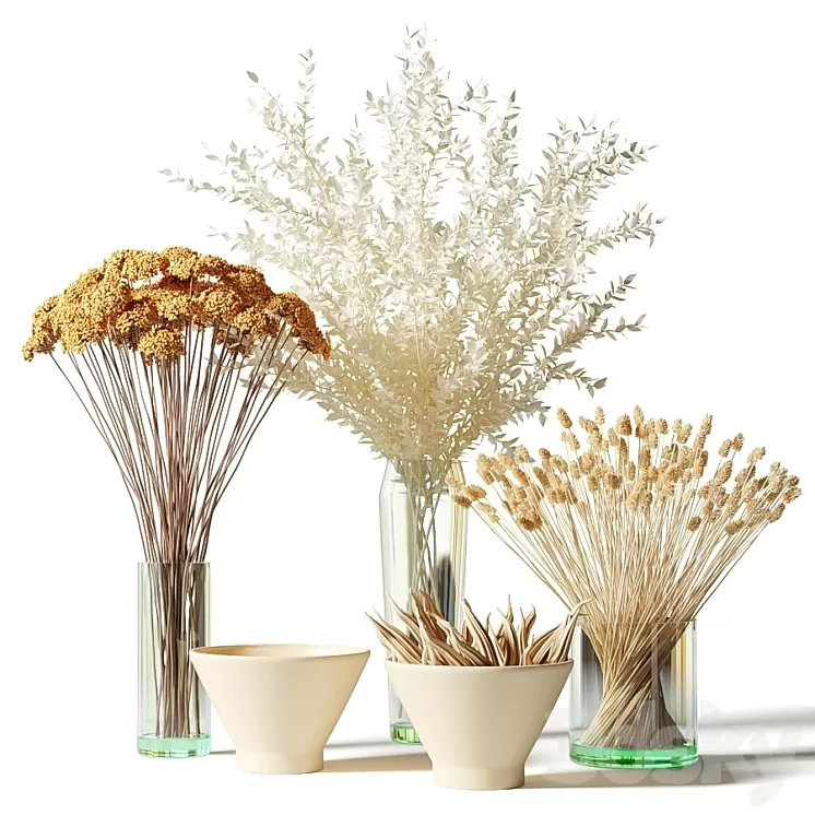 Bouquets of dried flowers in glass vases – set 2 3D Model