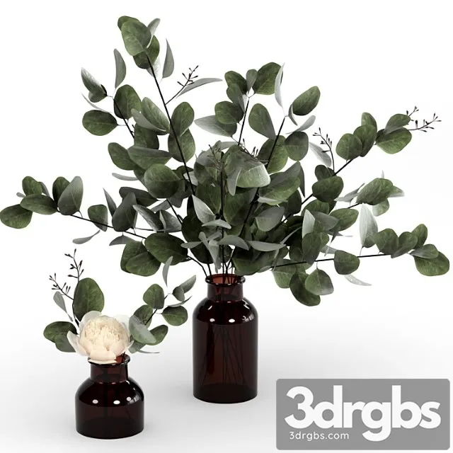 Bouquets of Eucalyptus 3D Model Download Bouquets of Eucalyptus 3D Model Download