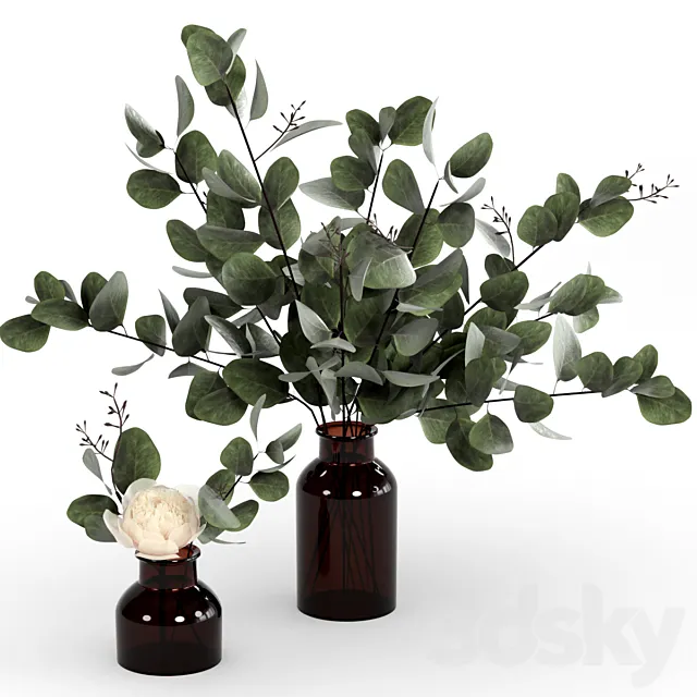 Bouquets of eucalyptus. 3D Model Bouquets of eucalyptus. 3D Model
