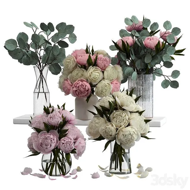 Bouquets of eucalyptus and peonies 3D Model