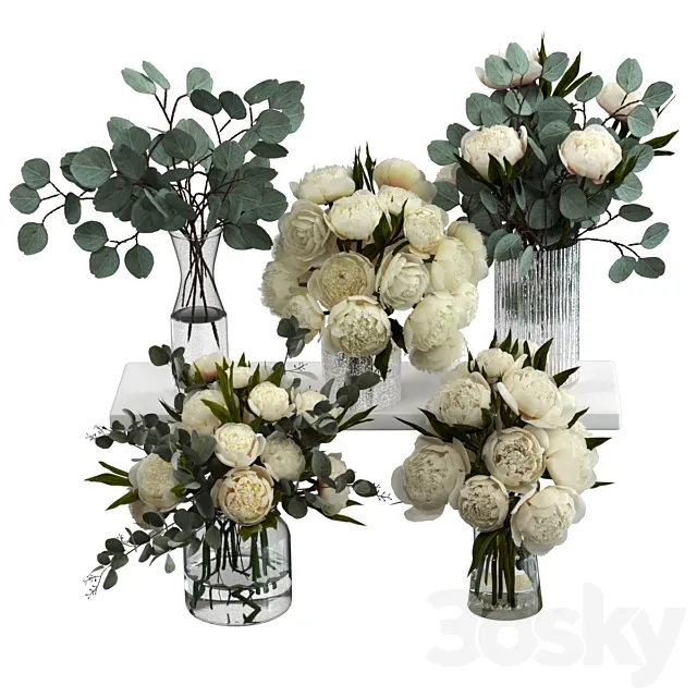 Bouquets of eucalyptus and peonies 3D Model Bouquets of eucalyptus and peonies 3D Model