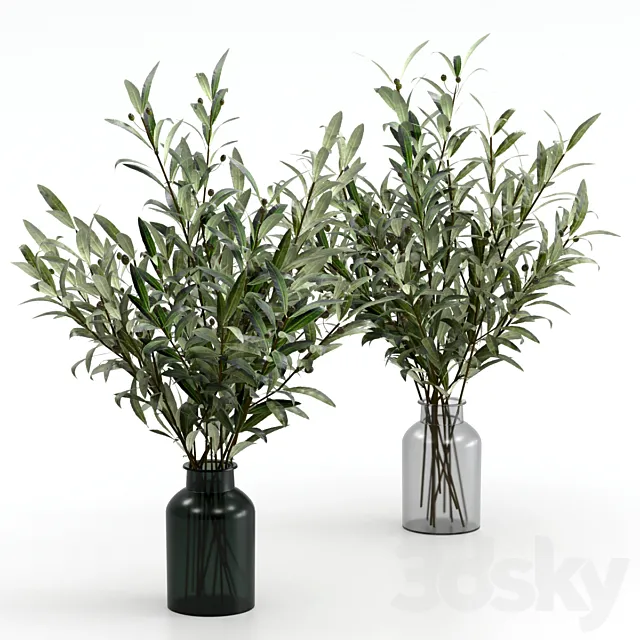 Bouquets of olives. 3D Model Bouquets of olives. 3D Model