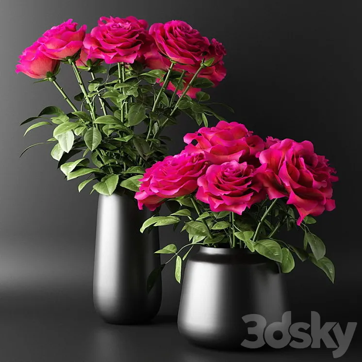 Bouquets of red roses in black vases | Bouquets of red roses in black vases 3D Model Free Download