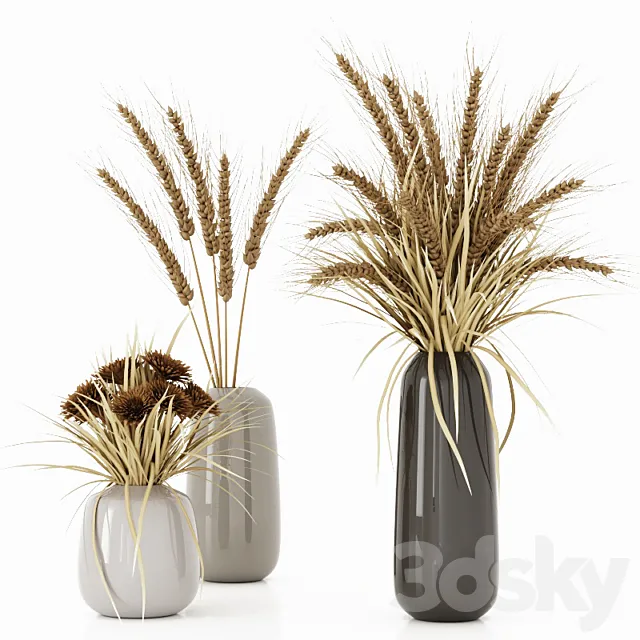 Bouquets with dry plants. spikelets. grass and chrysanthemums 3DModel