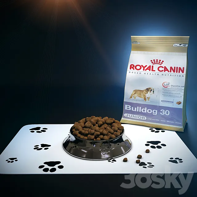 Bowl for the dog and cat food 3D Model Bowl for the dog and cat food 3D Model