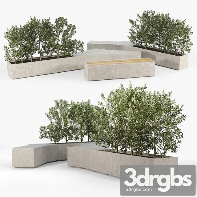 Box planter olea europaea 01 Box planter olea europaea 01