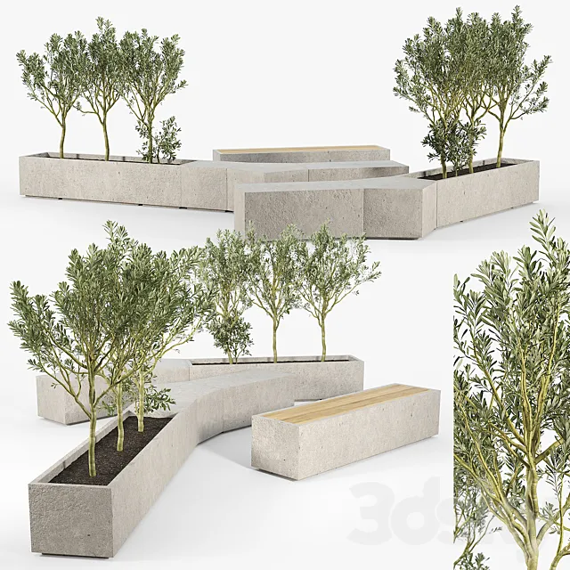 BOX PLANTER Olea europaea 02 3DModel BOX PLANTER Olea europaea 02 3DModel
