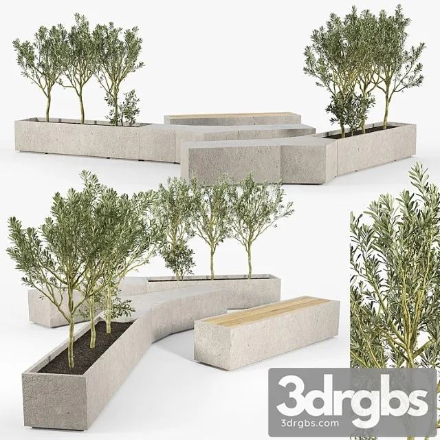 Box planter olea europaea 02 Box planter olea europaea 02