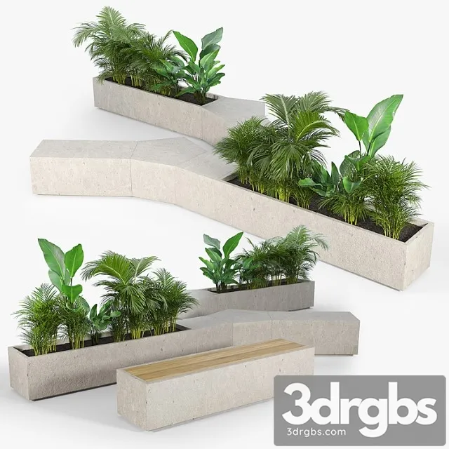 Box planter tropics Box planter tropics