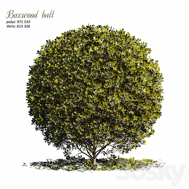 Boxwood ball 3D Model Boxwood ball 3D Model