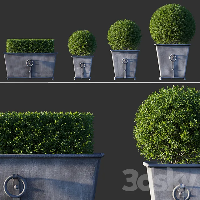 Boxwood RH Estate Zinc Ring Square 3DModel