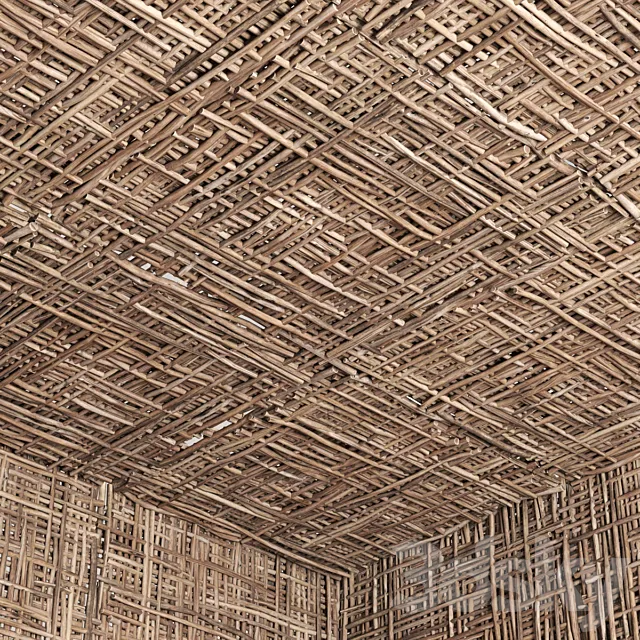 Bramch ceiling _ The ceiling of the branches number 2 3D Model Bramch ceiling _ The ceiling of the branches number 2 3D Model