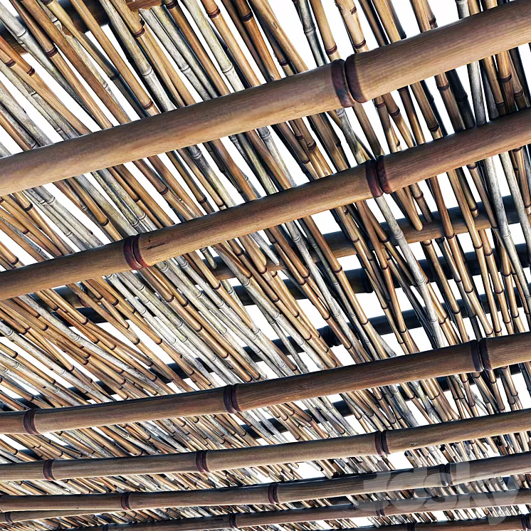 Branch bamboo long low n2 3D Model Branch bamboo long low n2 3D Model