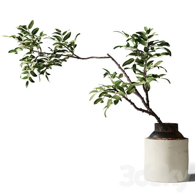 Branch with green leaves in an old metal vase 3D Model