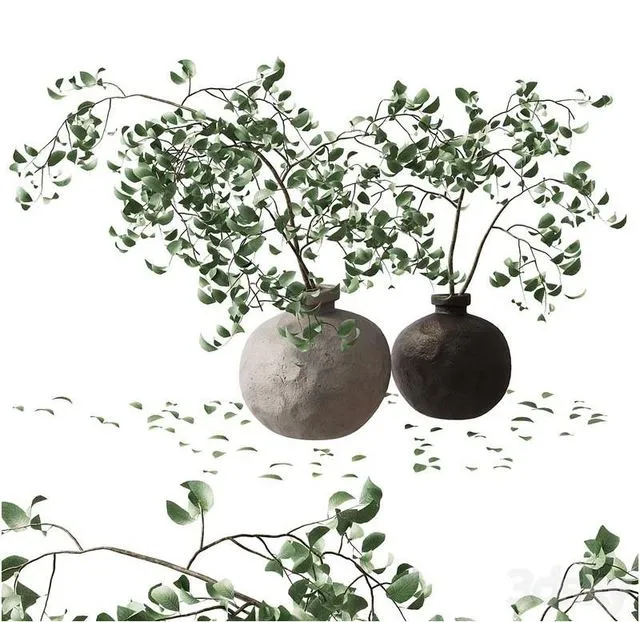Branches in a vase (2 bouquets) 3D Model
