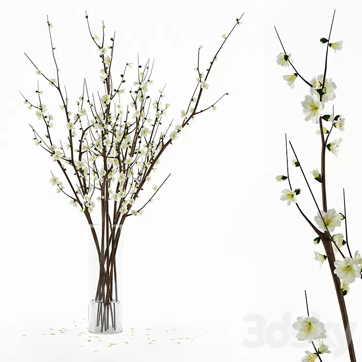 Branches in a vase 3D Model