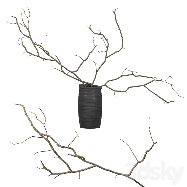 Branches in a vase 3D Model Free Download