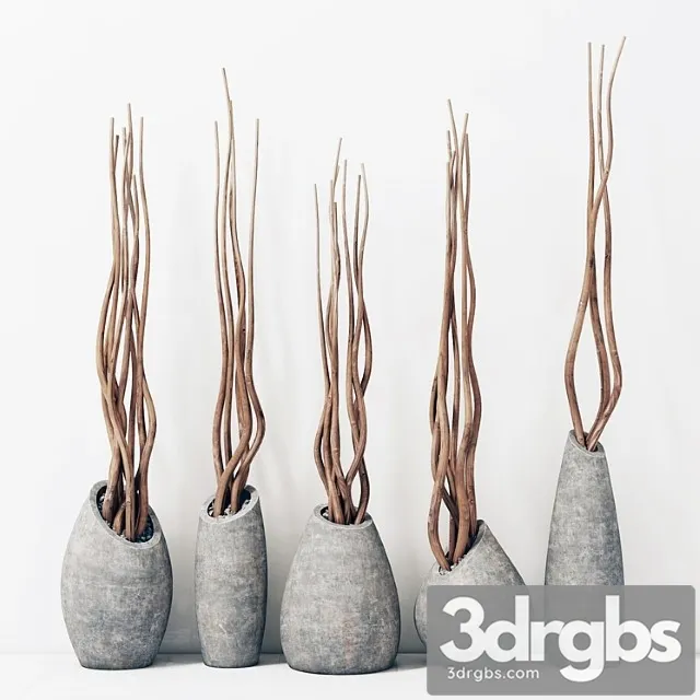 Branches In Concrete Vases Brunch Concrete Vasya 3D Model Download
