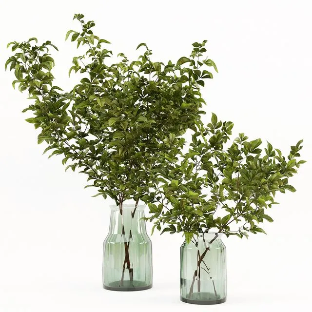 Branches in the vase 002 3D Model Branches in the vase 002 3D Model