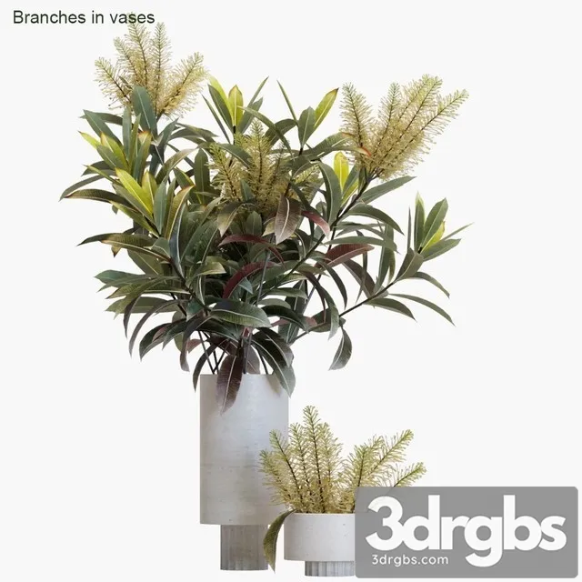 Branches in Vases 12 3D Model Download Branches in Vases 12 3D Model Download