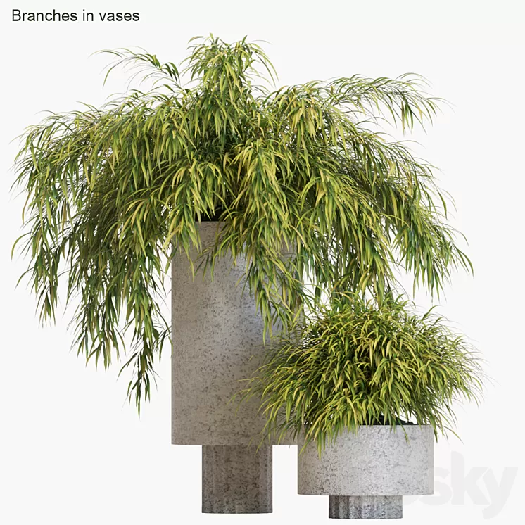 Branches in vases # 14: Hakonechloa 3D Model