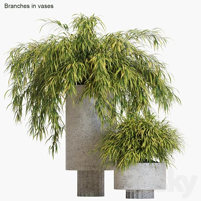 Branches in vases # 14: Hakonechloa 3D Model