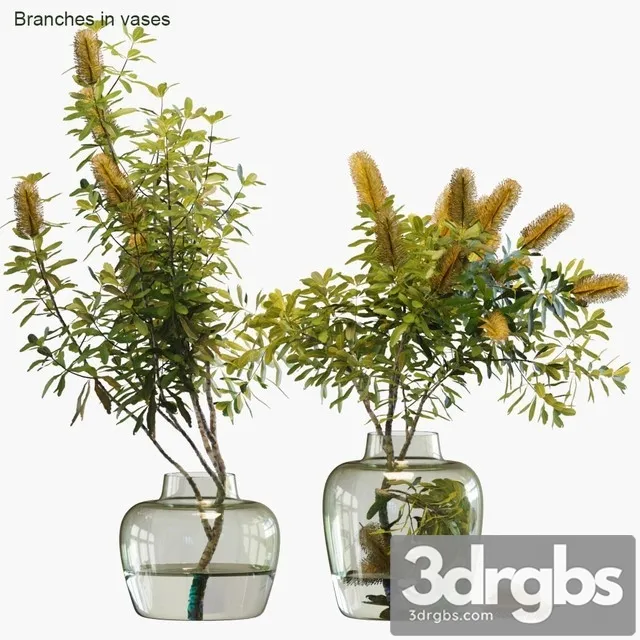 Branches in Vases 28 Banksia 3D Model Download Branches in Vases 28 Banksia 3D Model Download