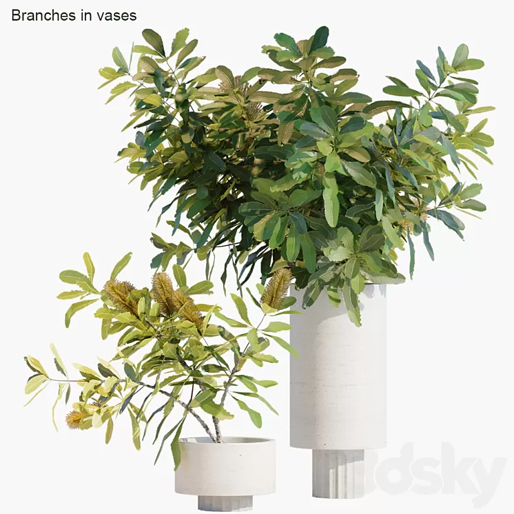 Branches in vases 29 3D Model