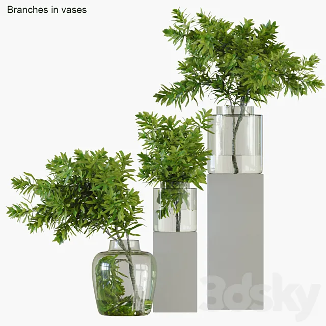 Branches in vases 32: Banksia plagiocarpa 3DModel Branches in vases 32: Banksia plagiocarpa 3DModel