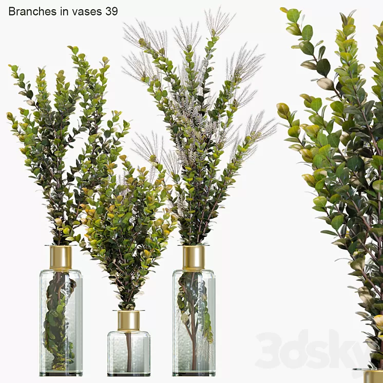 Branches in vases 39 3D Model