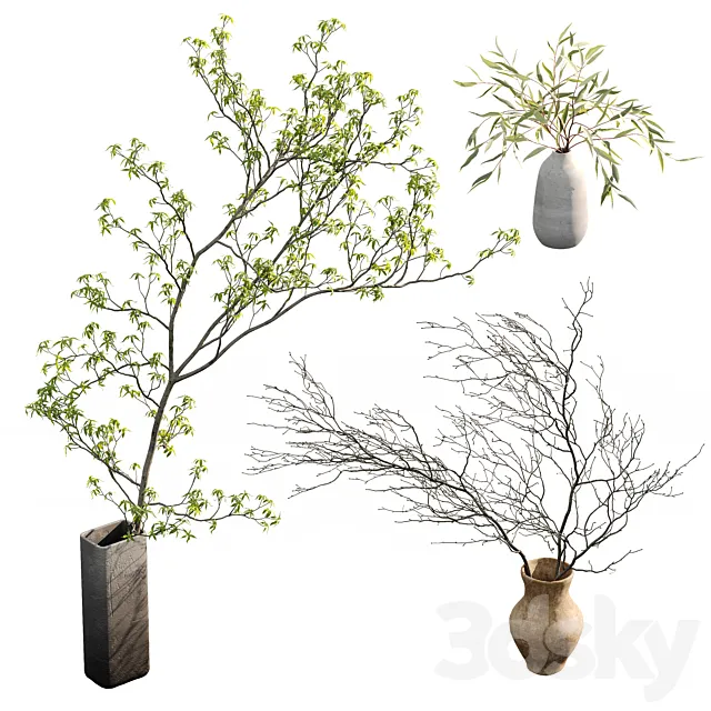 Branches in vases 3D Model