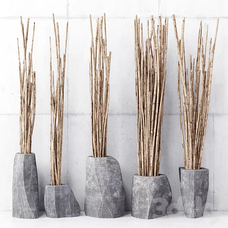 Branches in vases 3D Model Branches in vases 3D Model
