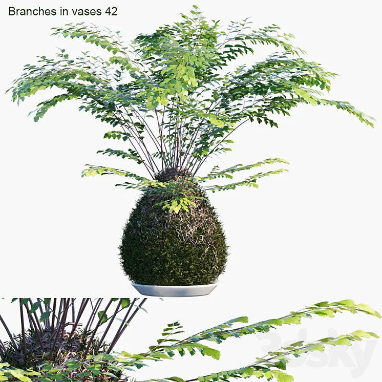 Branches in vases 42: Kokedama 3D Model Free Download