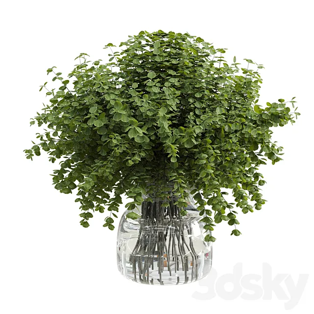 Branches plant with galss vase white – bouquet 36 3D Model Branches plant with galss vase white – bouquet 36 3D Model