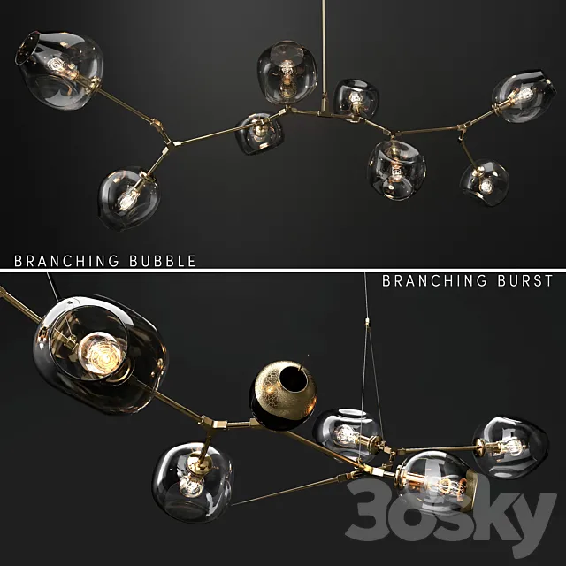 Branching bubble and Branching burst 3DModel