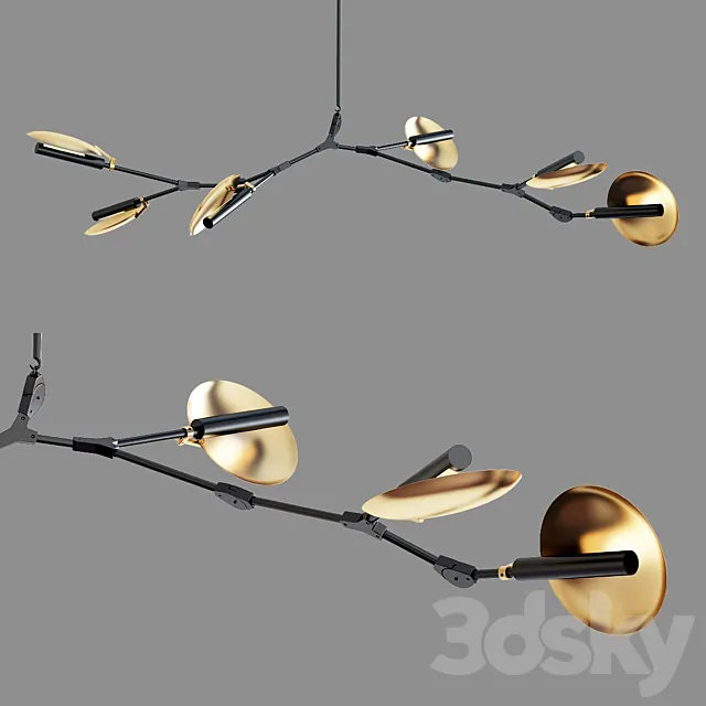 Branching Disc 3D Model