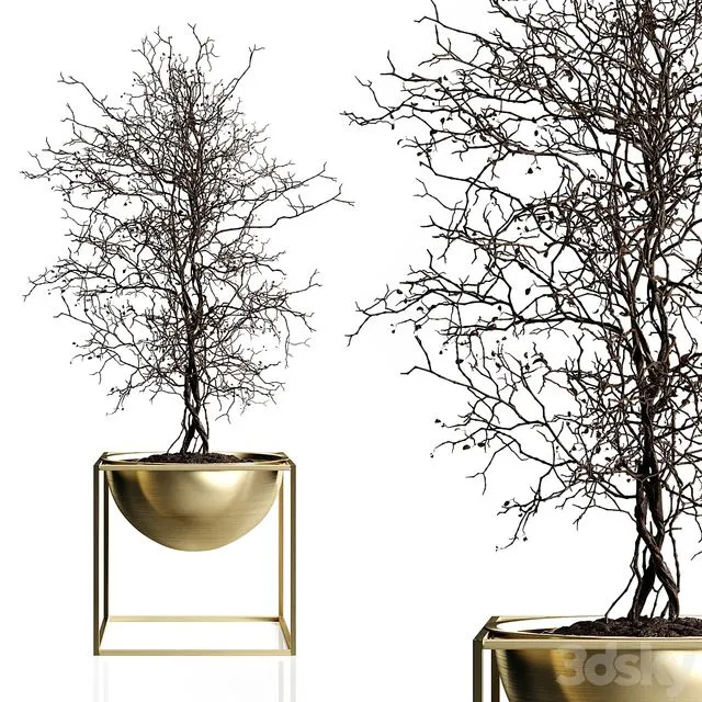 Branching tree 3D Model