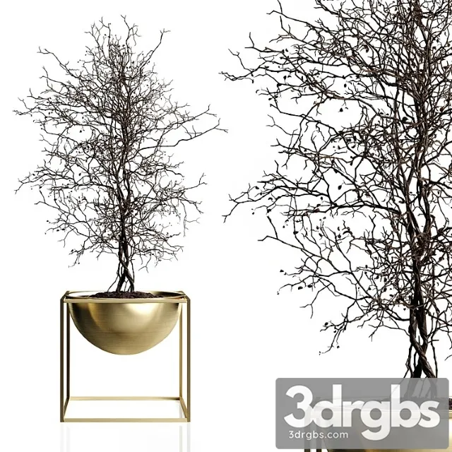 Branching Tree 3D Model Download