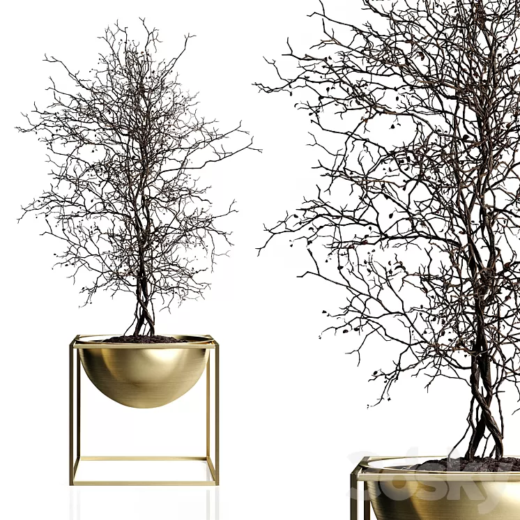 Branching tree 3D Model