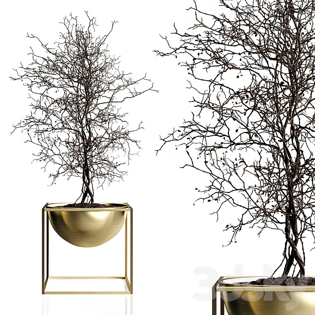 Branching tree 3DModel Branching tree 3DModel