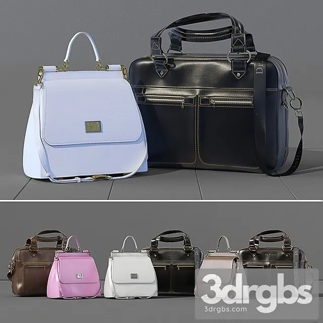 Breefcase DG 3D Model Download