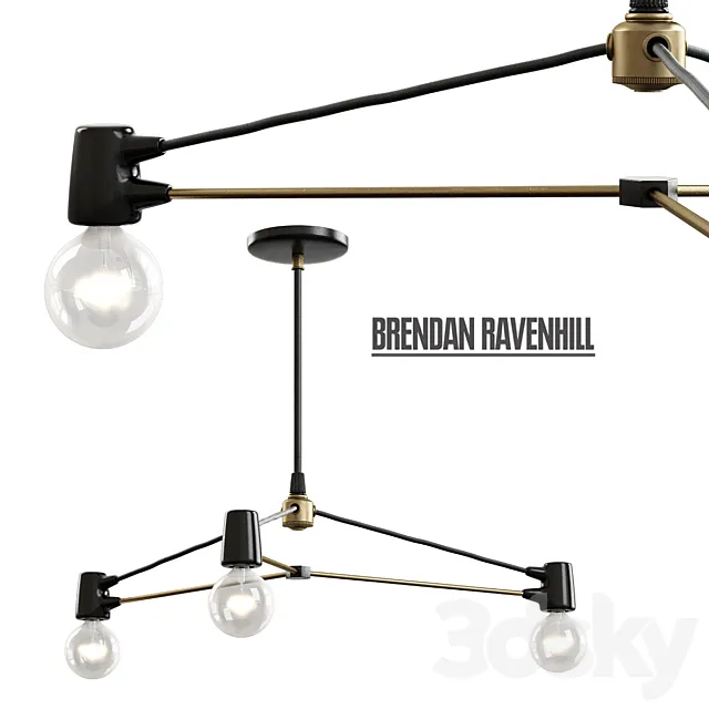 Brendan Ravenhill _ Cord Pendant 3DModel Brendan Ravenhill _ Cord Pendant 3DModel