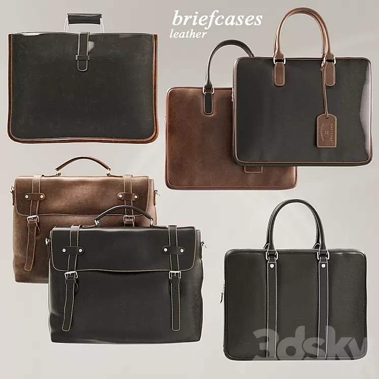 Briefcases Set 3D Model