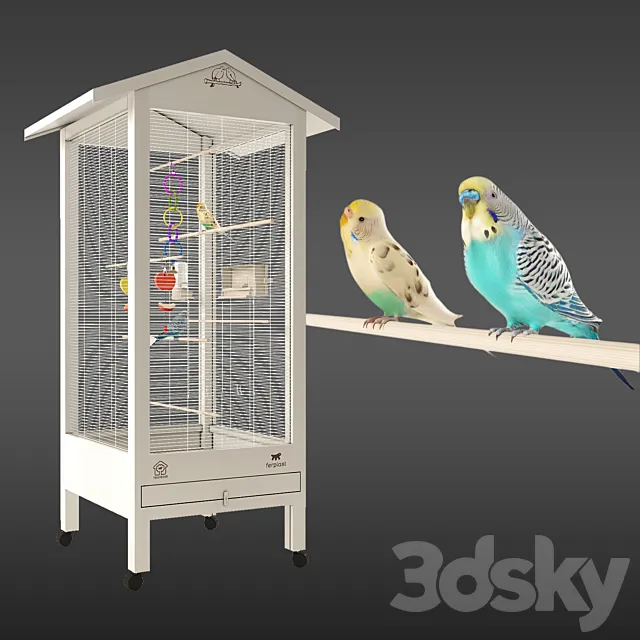 Budgies 3D Model